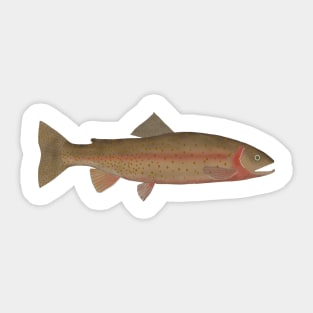 Cutthroat Trout Sticker